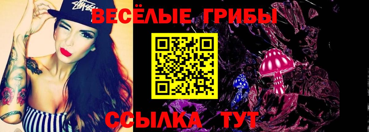 Аша  Псилоцибиновые грибы Psilocybine cubensis  Вход с VPN  Галлюциногенные грибы GOLDEN TEACHER 
